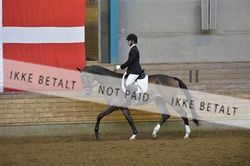 144288_abo_01__AB22111.JPG