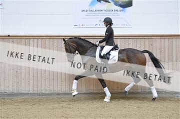 160111_nn_01__ESK1873.JPG