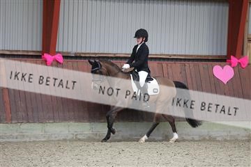 173883_mtp_01_3M5A0691.JPG
