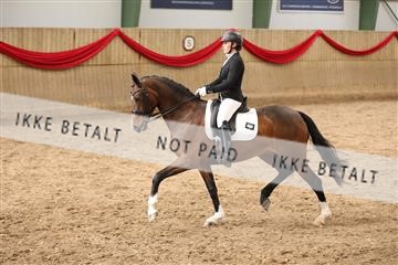 171342_mtp_01_3M5A7804.JPG