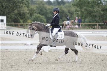 166629_rhj_01_J7R4617.JPG