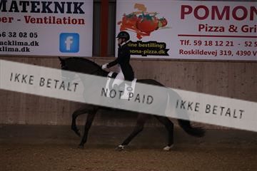 173782_mtp_01_3M5A8183.JPG