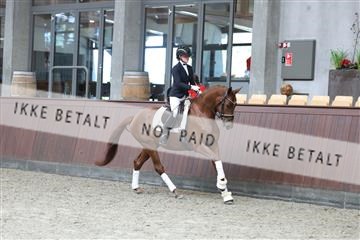 181852_mtp_04_R62_3007.JPG