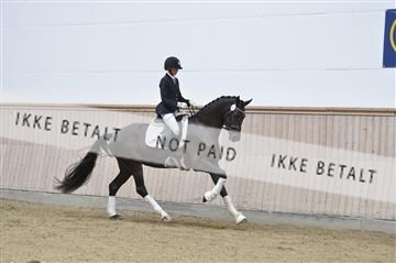 160111_nn_01__ESK1928.JPG