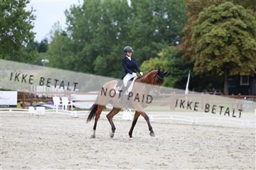 181923_mtp_01_R62_6500.JPG