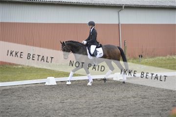 168174_kbb_1__KBB0097.JPG