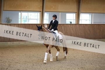 173821_mtp_01_3M5A8280.JPG