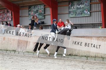 181867_mtp_02_R62_4742.JPG