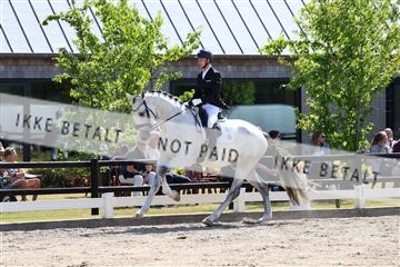174806_jss_01_R6II0368.JPG