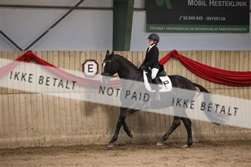 171342_mtp_01_3M5A8619.JPG