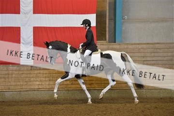 144288_abo_01__AB21919.JPG