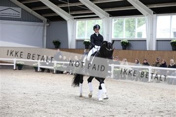 179088_mtp_01_3M5A3956.JPG