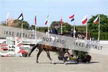 181436_avh_01_3343.JPG