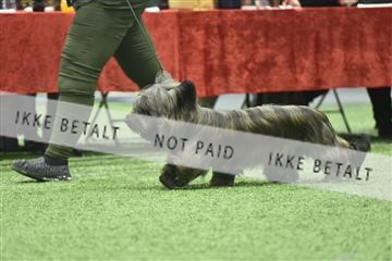 163793_bkn_01__BKN9003.JPG