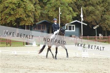 181923_mtp_04_R62_9192.JPG