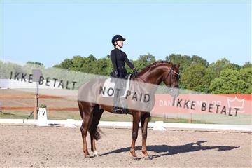 181449_bc_01R62_6377.JPG