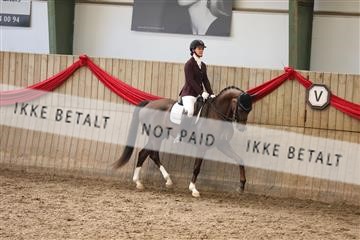 171342_mtp_01_3M5A7824.JPG