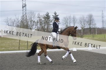 168174_kbb_1__KBB0092.JPG
