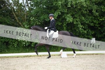 162958_mep_01_DSC_6140.JPG