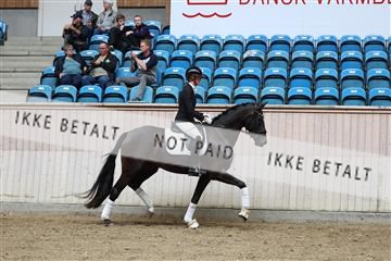181887_mtp_04_R62_8774.JPG