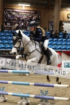 175934_avh_02_7314.JPG