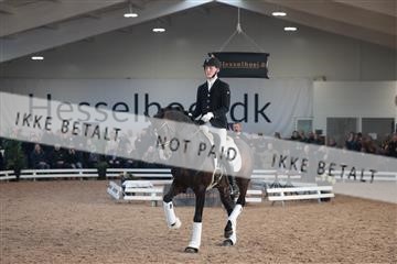 179022_kbb_01_R6II3180.JPG
