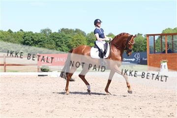 181449_bc_01R62_5845.JPG