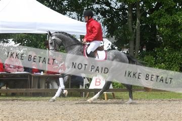 135518_ms_01_IMG_1287.JPG