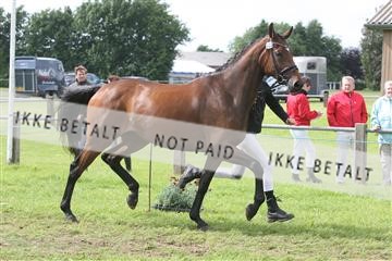 135518_ms_02_IMG_2994.JPG