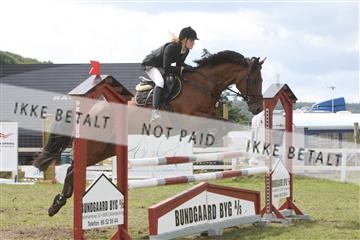 5925_ma_05_IMG_0935.JPG