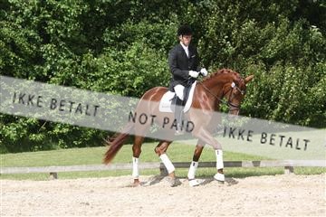 135518_ms_02_IMG_2847.JPG