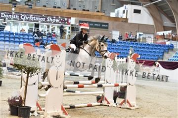 161006_abo_01__D050966.JPG