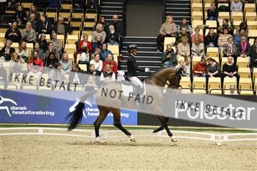 178838_mtp_04_0E6A4282.JPG