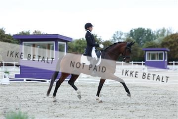 181923_mtp_01_R62_6628.JPG