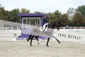 181923_mtp_03_R62_7385.JPG