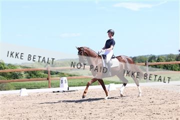 181449_bc_01R62_5778.JPG