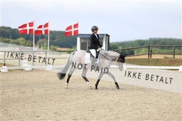 181894_mtp_04_R62_3348.JPG