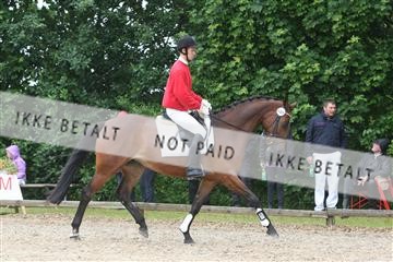 135518_ms_01_IMG_1364.JPG