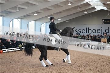 179022_kbb_01_R6II2618.JPG