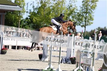 181436_avh_02_3591.JPG