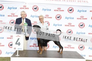 181848_kar_01__62_4511.JPG