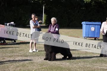181848_kar_01__62_4778.JPG
