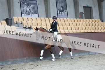 181852_mtp_03_R62_2205.JPG