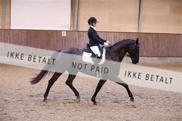 173821_mtp_01_3M5A9699.JPG