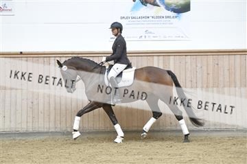 160111_nn_01__ESK1549.JPG