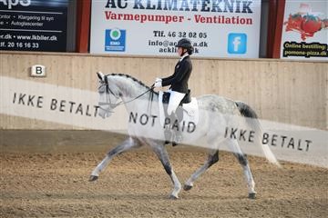 173782_mtp_01_3M5A7812.JPG
