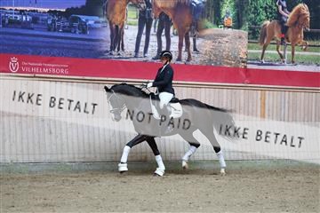 181887_mtp_01_R62_6673.JPG