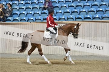160111_nn_01__ESK1397.JPG