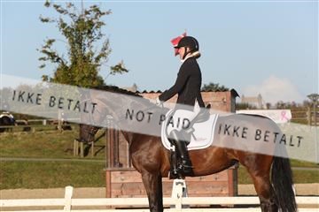 148862_sg_01_IMG_2303.JPG