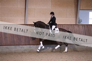 173821_mtp_01_3M5A8380.JPG